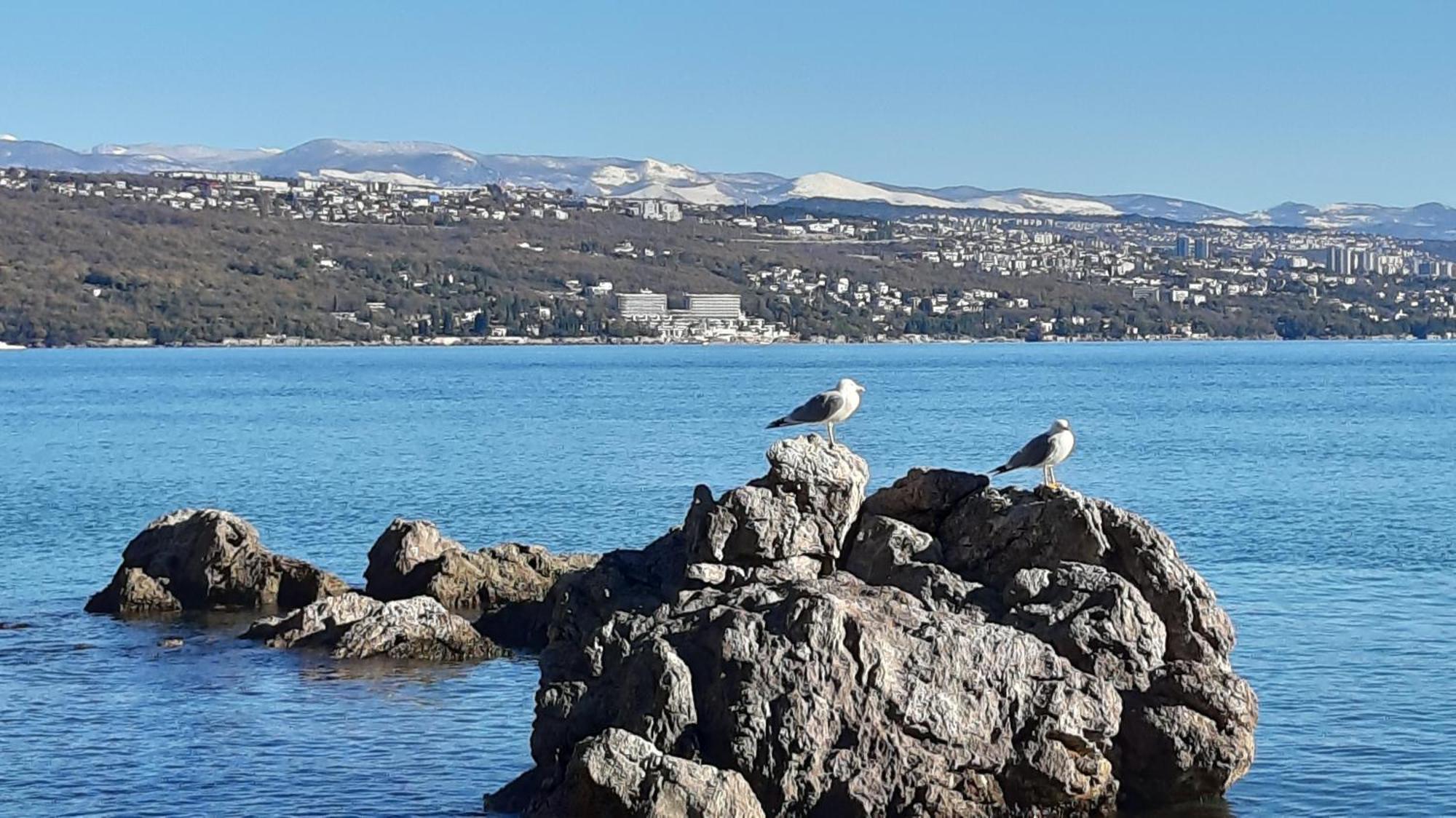Apartma Dora Opatija